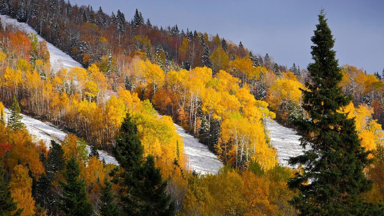 Le Bivouac - Les Chalets Spa Canada La Malbaie Esterno foto