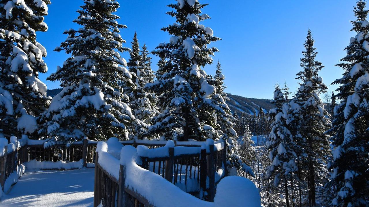 Le Bivouac - Les Chalets Spa Canada La Malbaie Esterno foto